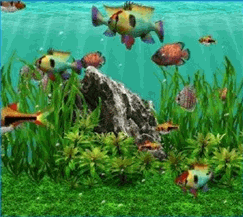 aquarium.gif